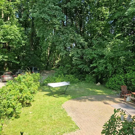 Lučina